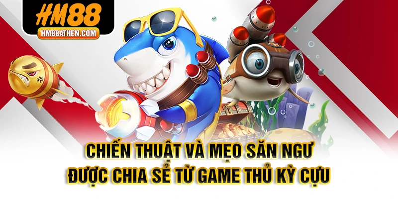Chiến thuật và mẹo săn ngư được chia sẻ từ game thủ kỳ cựu
